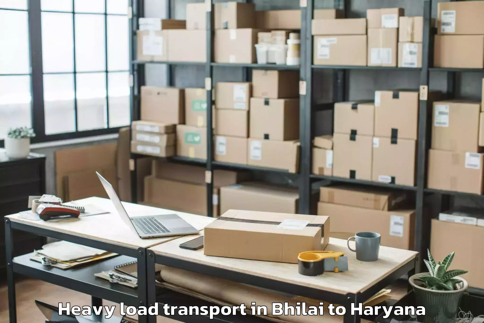 Book Bhilai to Hissar Airport Hss Heavy Load Transport Online